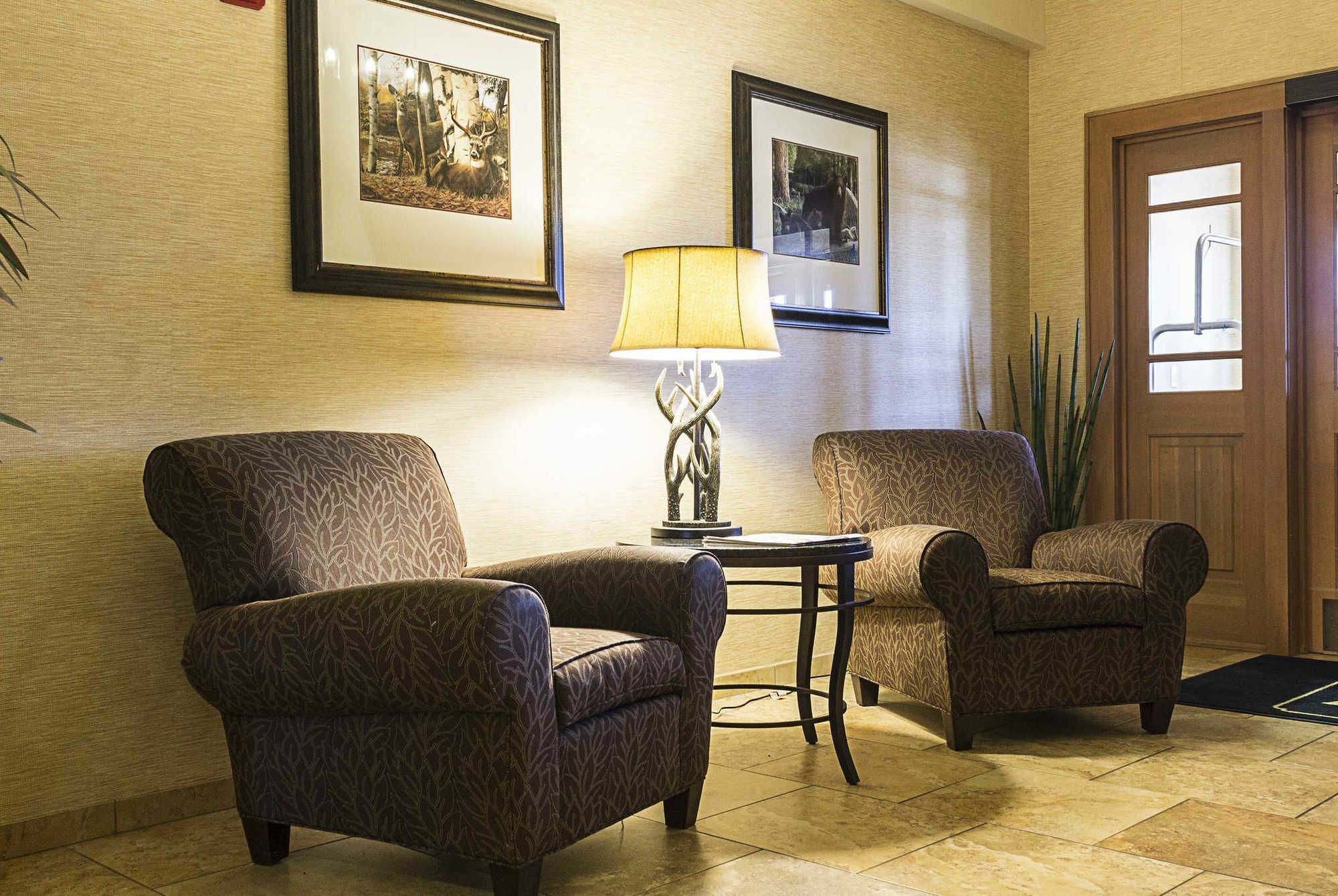 Mainstay Suites Williston Ngoại thất bức ảnh